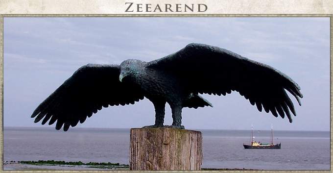 Zeearend op Vlieland